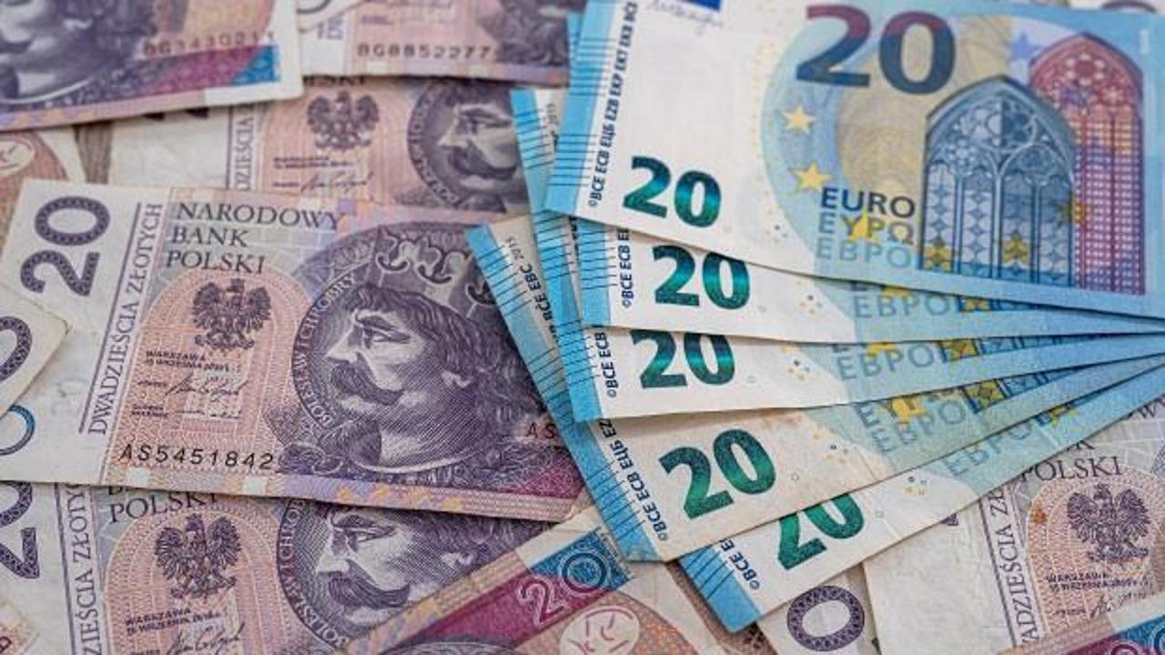 Polonya'dan ‘Euro’ kararı: Ekonomimiz güçlü, acelemiz yok