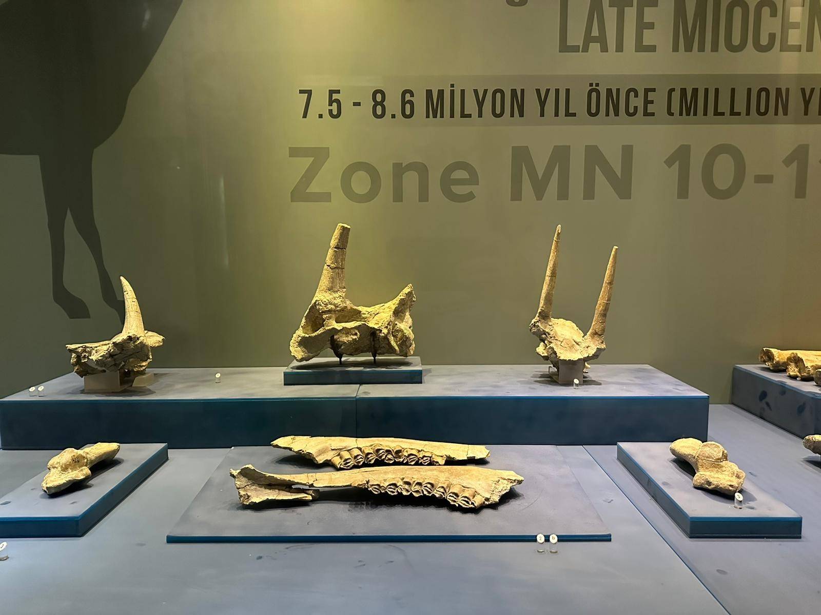 8 milyon yıl öncesine ışık tutuyor: 40 bin kişiyi ağırladı