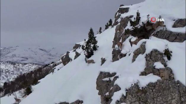 Kamera öyle bir görüntü kaydetti ki! İzleyen tekrar tekrar oynattı