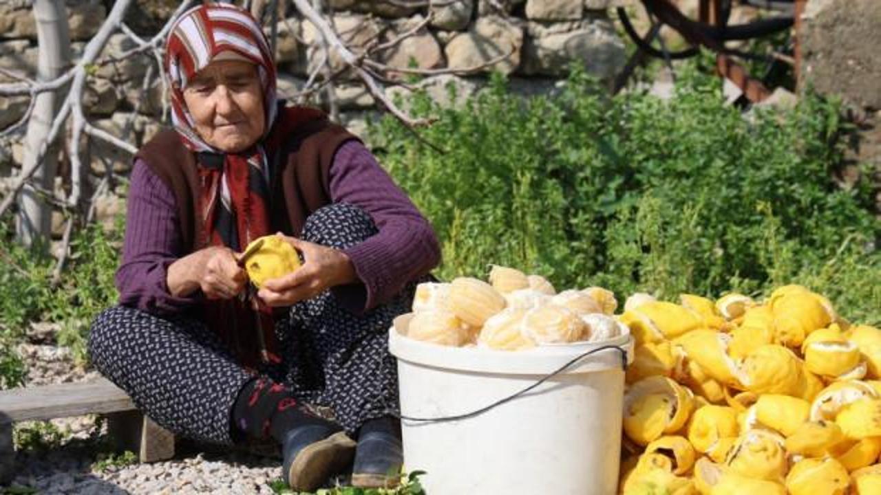 Dalında 20, kuruyunca 65 TL'den satılıyor