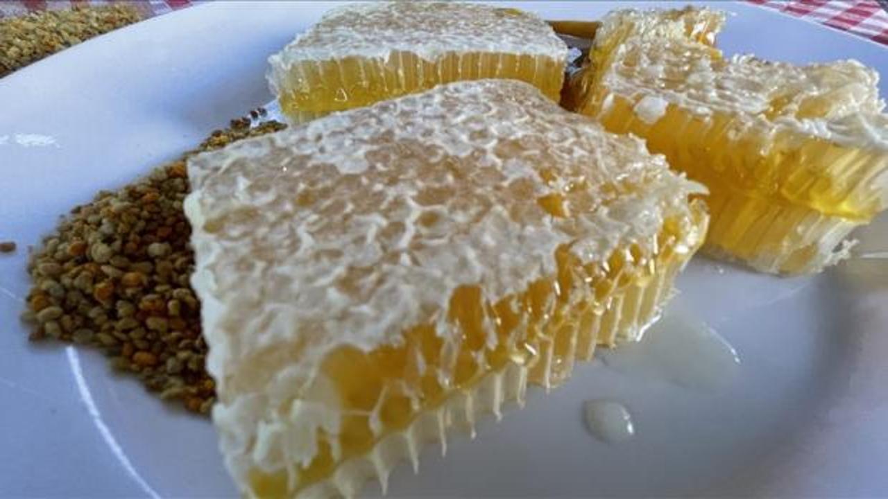 AB'den coğrafi tescil alan Yenice ıhlamur balı markalaşma yolunda ilerleyecek