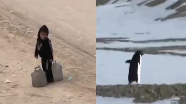 Gazze'de çocuk olmak... Bir penguen kadar konuşulmayacak