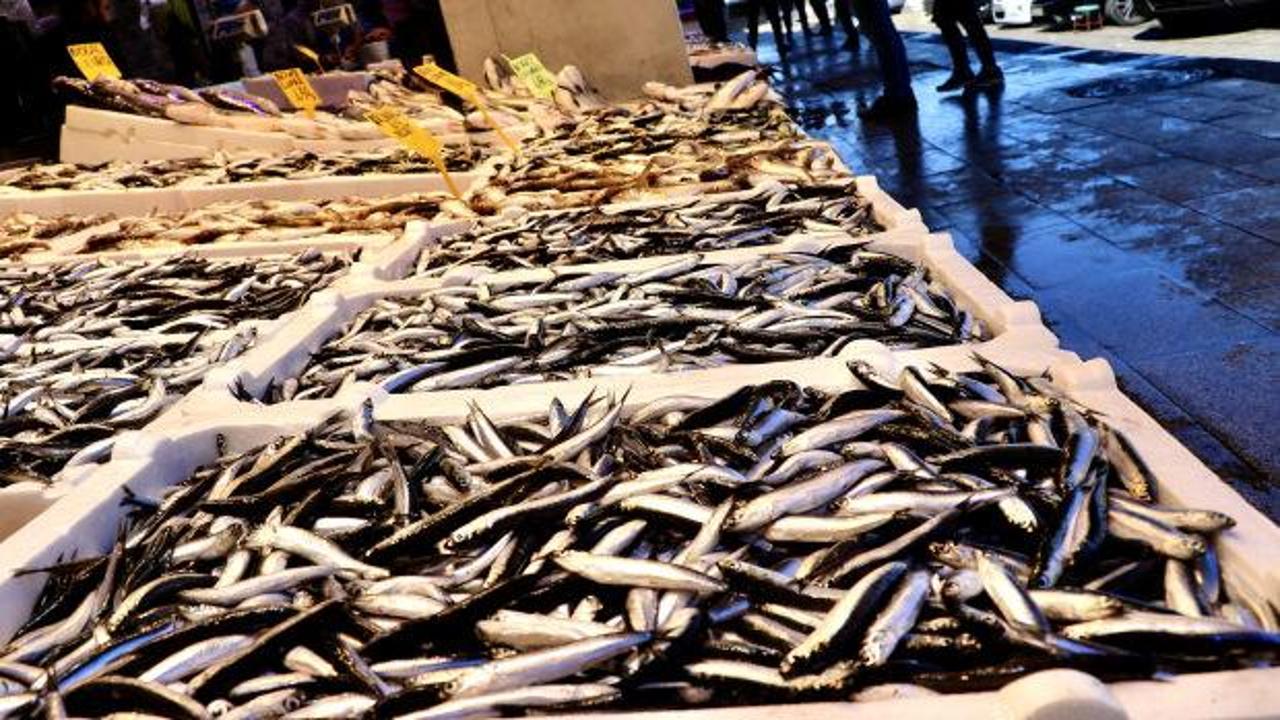 Hamsi vatandaşı güldürdü, tezgahın kralı değişti