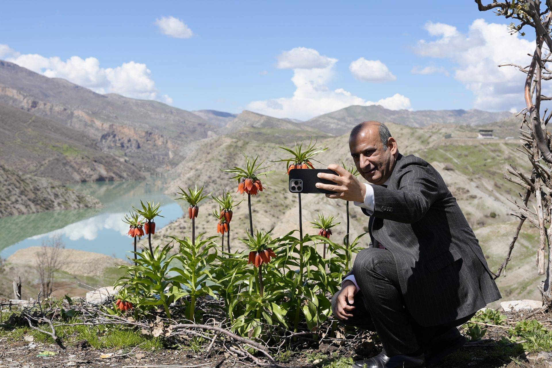 Güzelliği kadar cezası da büyük: Ters laleler Şırnak’ta açtı